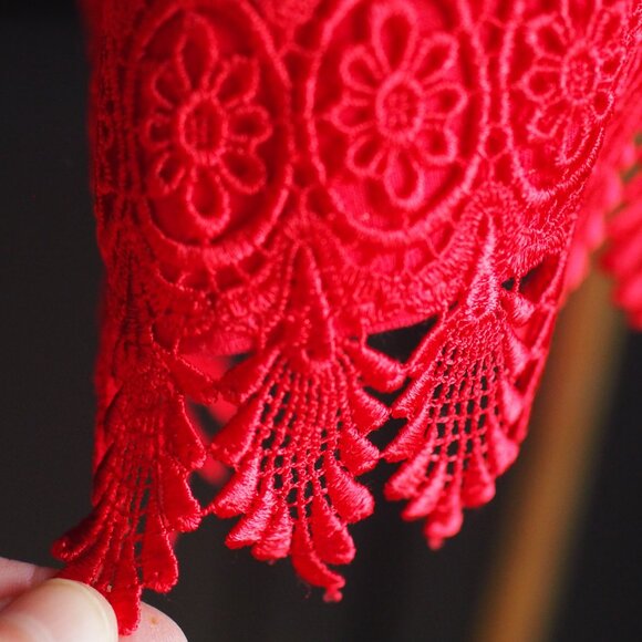 Hummingbird | V Neck Lace Trim Top - Picture 4 of 5